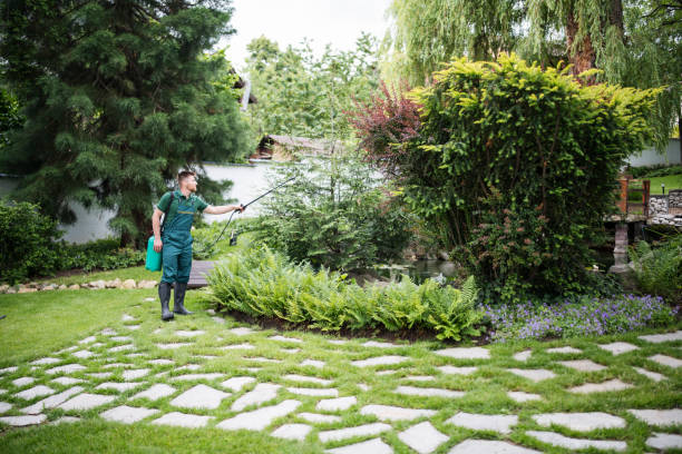 Trusted Aptos, CA Pest Control Experts