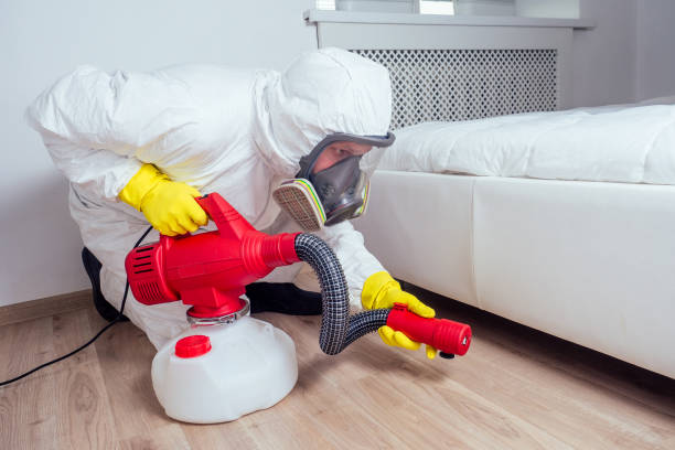 Best Ant Control Services  in Aptos, CA