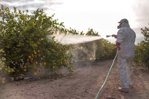 Best Local Pest Control Services  in Aptos, CA