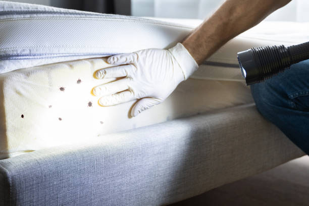 Best Affordable Pest Control Services  in Aptos, CA