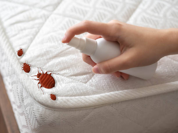 Best Pest Inspection Near Me  in Aptos, CA
