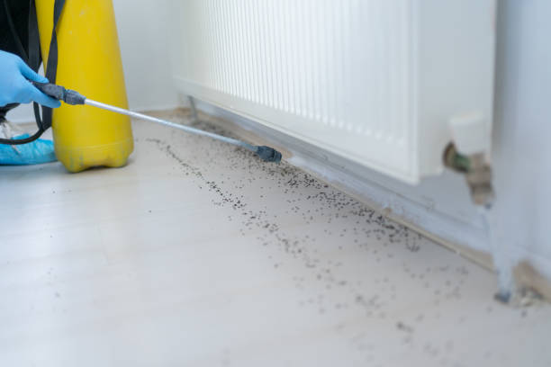 Best Exterminator Services  in Aptos, CA